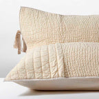 Σετ 2τμχ Διακοσμητική Μαξιλαροθήκη Salmon 52X78 Salmon